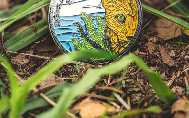 Empowering Literacy Champions: The Role of Challenge Coins in The Everglades Foundation