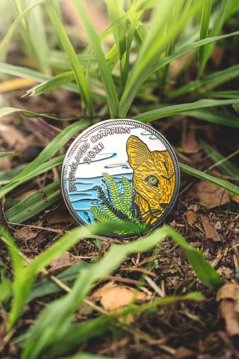 Empowering Literacy Champions: The Role of Challenge Coins in The Everglades Foundation