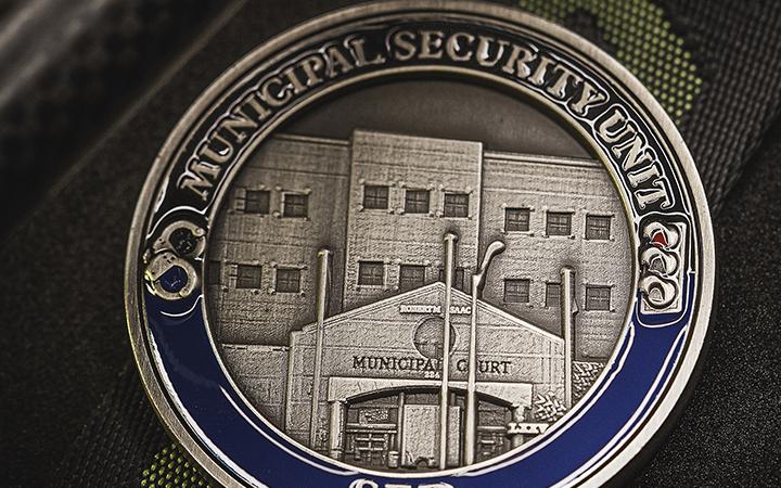 Government Challenge Coins